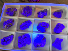 Load image into Gallery viewer, Rare Purple Rain Pocket Fluorite Clusters, Lady Annanella Mine, CLOSED Mine!, Daylight Fluorescent