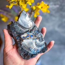 Load image into Gallery viewer, Raw Columbian Shungite