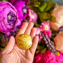 Load image into Gallery viewer, Sea Urchin Fossils, Sand Dollar Fossil, Beach Decor