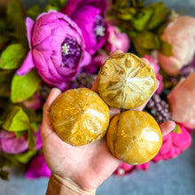 Load image into Gallery viewer, Sea Urchin Fossils, Sand Dollar Fossil, Beach Decor