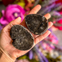 Load image into Gallery viewer, Septarian Dragon Eggs, Septarian Nodules