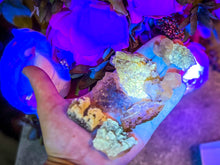Load image into Gallery viewer, Moscana Yellow Fluorite Specimens, Fluorescent Minerals, Asturias Spain