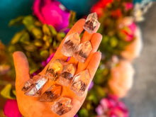 Load image into Gallery viewer, SUNSET Phantom Quartz Points, New Find 2022