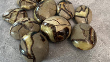 Load and play video in Gallery viewer, SEPTARIAN PALM STONES
