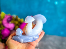 Load image into Gallery viewer, Beautiful 5" Blue Chalcedony MUSHROOM Sculpture