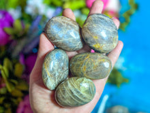 Load image into Gallery viewer, Chocolate Moonstone Crystal Palmstones