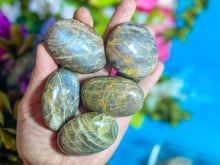 Load image into Gallery viewer, Chocolate Moonstone Crystal Palmstones