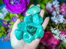 Load image into Gallery viewer, Polished Chrome Chalcedony, Mtorolite