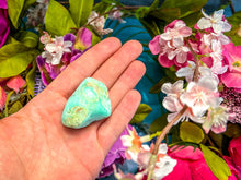 Load image into Gallery viewer, POLISHED CHRYSOPRASE Specimens