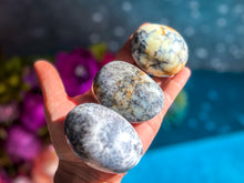 Load image into Gallery viewer, Dendritic Agate Palmstones