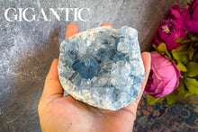 Load image into Gallery viewer, CELESTITE