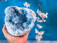Load image into Gallery viewer, Ethically Sourced CELESTITE geode