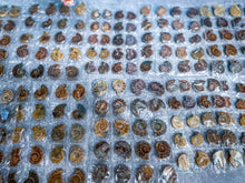 Load image into Gallery viewer, BULK Rainbow Ammonite Fossil Pairs