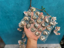 Load image into Gallery viewer, CREATRIX Natural Floral Perfume Oil for Divine Feminine Energy with Jasmine