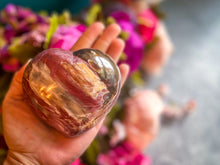 Load image into Gallery viewer, Ethically Sourced Petrified Wood Hearts