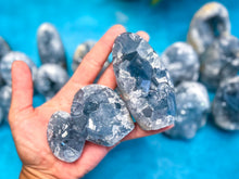 Load image into Gallery viewer, Ethically Sourced CELESTITE Freeforms, 25-450 Grams