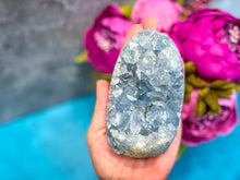 Load image into Gallery viewer, Ethically Sourced CELESTITE Freeforms, 25-450 Grams