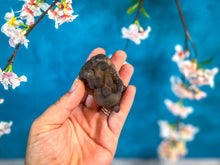 Load image into Gallery viewer, Raw TRUFFLE CHALCEDONY Specimens, also known as Womb Stone, Witches Wart Chalcedony, Chalcedony Balls