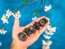 Load image into Gallery viewer, Raw TRUFFLE CHALCEDONY Specimens, also known as Womb Stone, Witches Wart Chalcedony, Chalcedony Balls