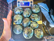 Load image into Gallery viewer, Bulk 1 Kilo Kambaba Jasper Crystal Palmstone, Nebula Stone, Stromatolite, Wholesale Crystals
