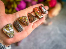 Load image into Gallery viewer, Ethically Sourced Ammolite From Canada
