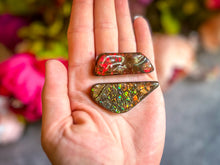 Load image into Gallery viewer, Ethically Sourced Ammolite From Canada
