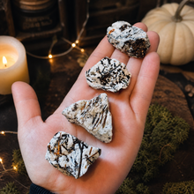 Load image into Gallery viewer, Astrophyllite Specimens from Russia
