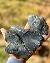Load image into Gallery viewer, Fern Fossils from St Clair, Pennsylvania
