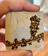 Load image into Gallery viewer, Picture Jasper Square | Natural Stone Shape
