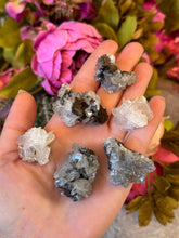 Load image into Gallery viewer, Mouse Ear Calcite - Fluoresces Pink, UV Fluorescent Minerals
