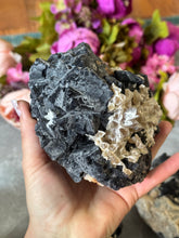 Load image into Gallery viewer, Huge Black Rose Fluorite Specimens, Rare Fluorite, Fluoresce Red or Pink
