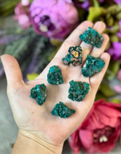 Load image into Gallery viewer, Raw Dioptase Crystal Specimens, Green Dioptase Mineral
