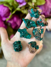 Load image into Gallery viewer, Raw Dioptase Crystal Specimens, Green Dioptase Mineral
