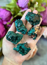 Load image into Gallery viewer, Raw Dioptase Crystal Specimens, Green Dioptase Mineral
