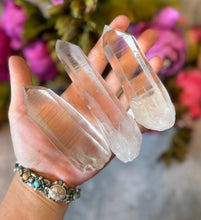 Load image into Gallery viewer, Lemurian Quartz Points, Lemurian Seed Quartz
