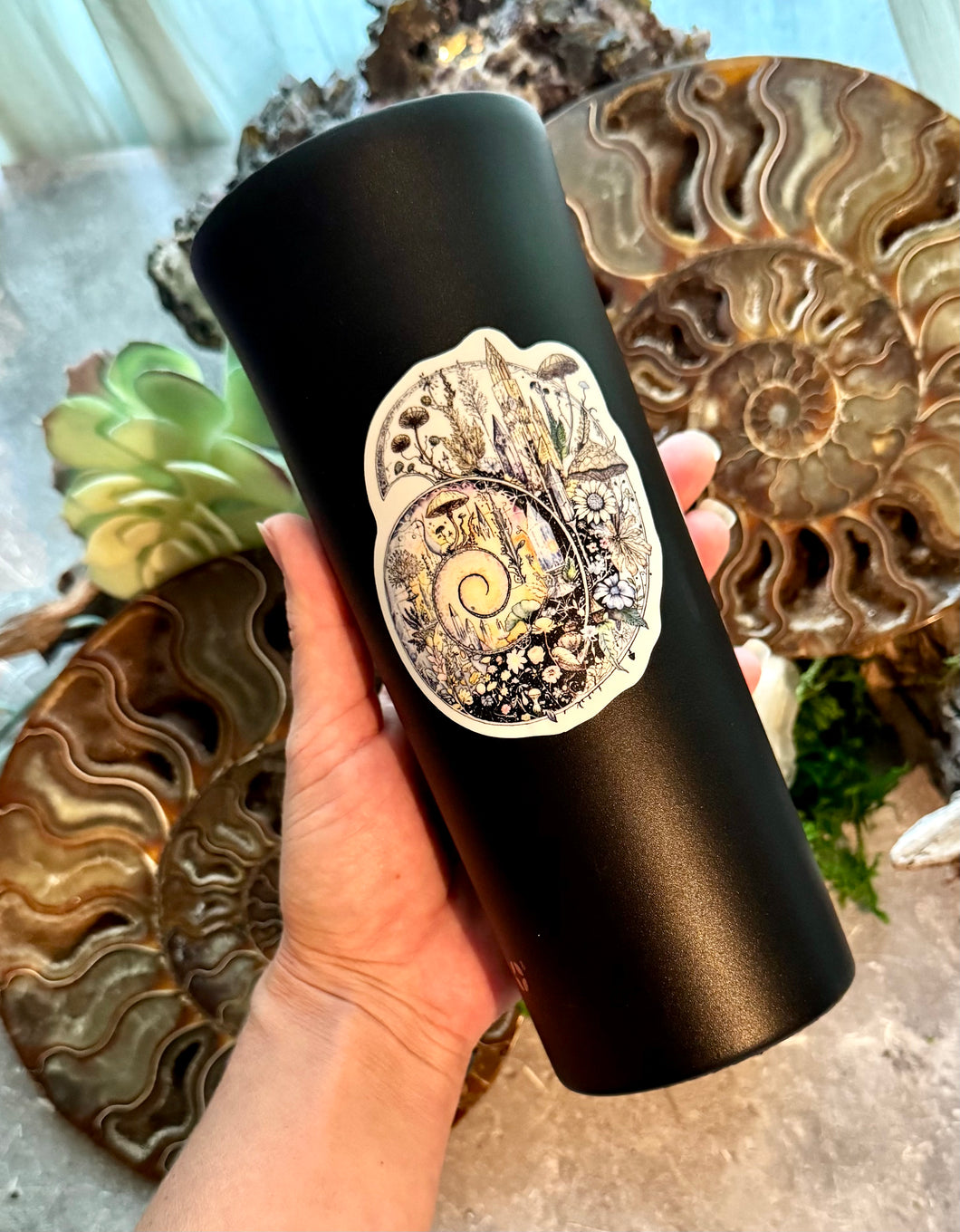 Ammonite Sticker – 3