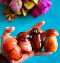 Load image into Gallery viewer, Carnelian Crystal Mushroom
