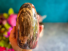 Load image into Gallery viewer, Petrified Wood Freeforms, 500-999 grams
