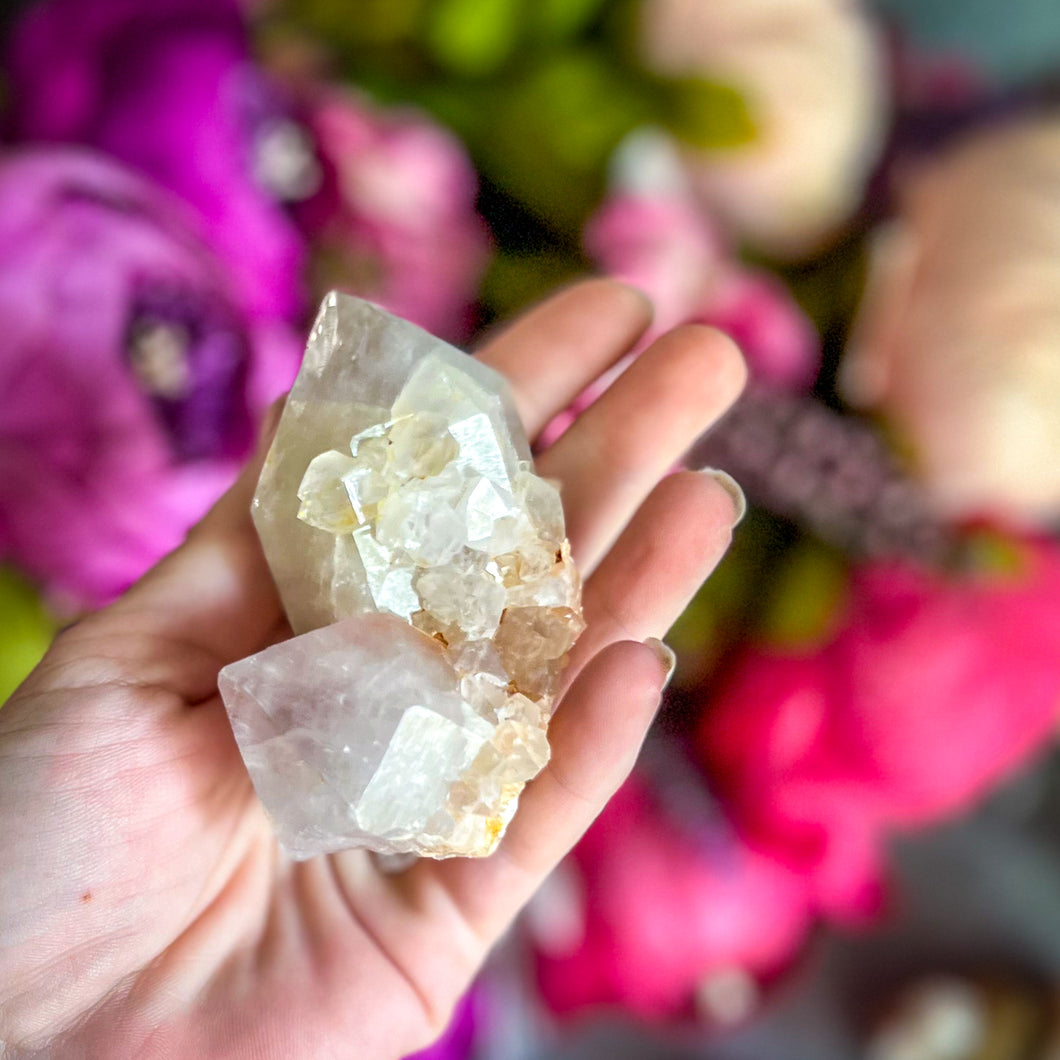 Large Spirit Quartz Points + Cactus Quartz Clusters