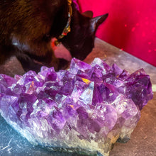 Load image into Gallery viewer, Huge 7.75 Lb Raw Amethyst Geode

