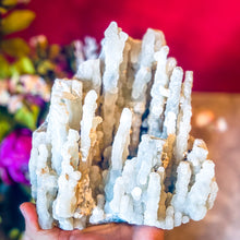 Load image into Gallery viewer, HUGE Chalcedony Quartz Stalactite Clusters, You Choose Piece!
