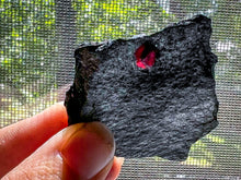 Load image into Gallery viewer, Glowing Red Almandine Garnets from Massachusetts, Direct from the Mine!
