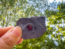 Load image into Gallery viewer, Glowing Red Almandine Garnets from Massachusetts, Direct from the Mine!
