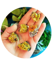 Load image into Gallery viewer, Wulfenite Specimens from Arizona, Thumbnail Specimens
