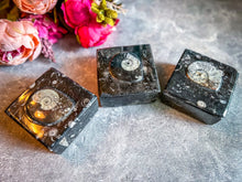 Load image into Gallery viewer, Ammonite Keepsake Box
