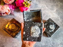Load image into Gallery viewer, Ammonite Keepsake Box
