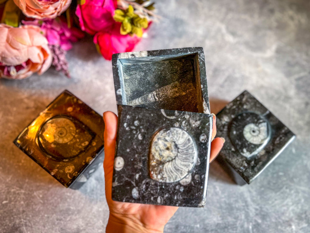 Ammonite Keepsake Box