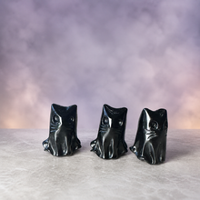 Load image into Gallery viewer, Mini Black Obsidian Cat Ghost | Halloween Crystal Carving
