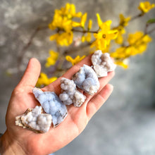 Load image into Gallery viewer, Raw Blue Chalcedony Specimens
