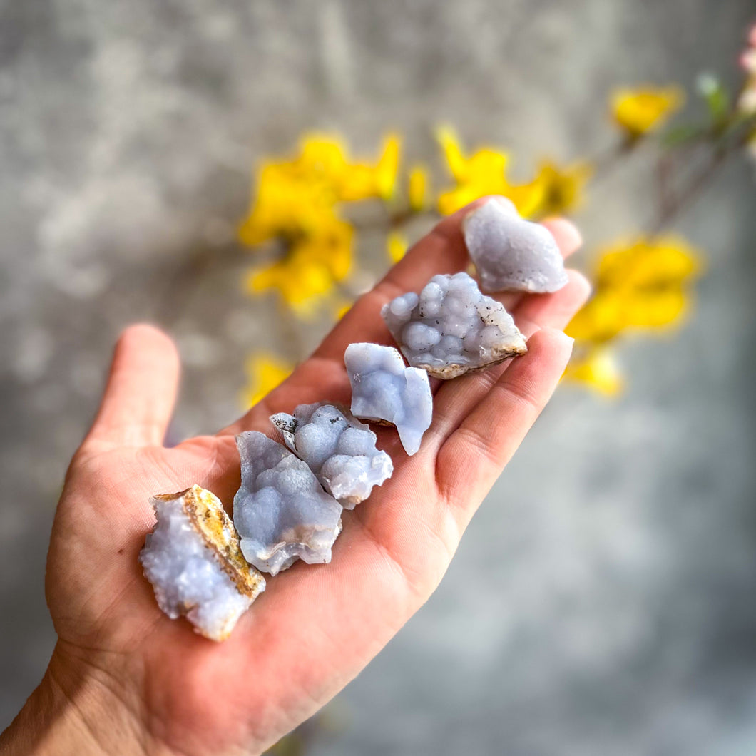 Raw Blue Chalcedony Specimens